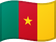 Camarões flag