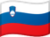 Eslovênia flag